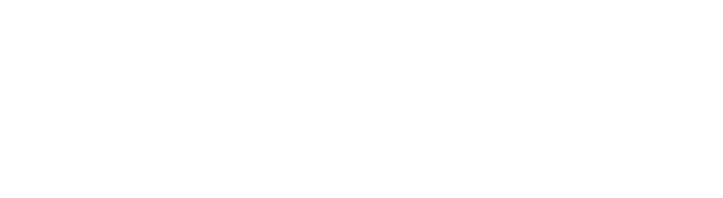 Logo Nauka Jazdy Waldi